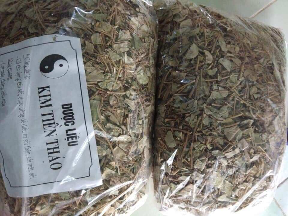 Cây kim tiền thảo+ râu mèo