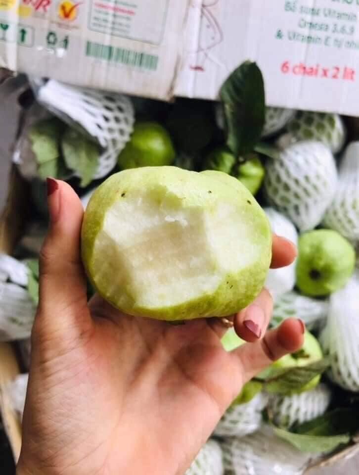 Ổi vườn 1kg