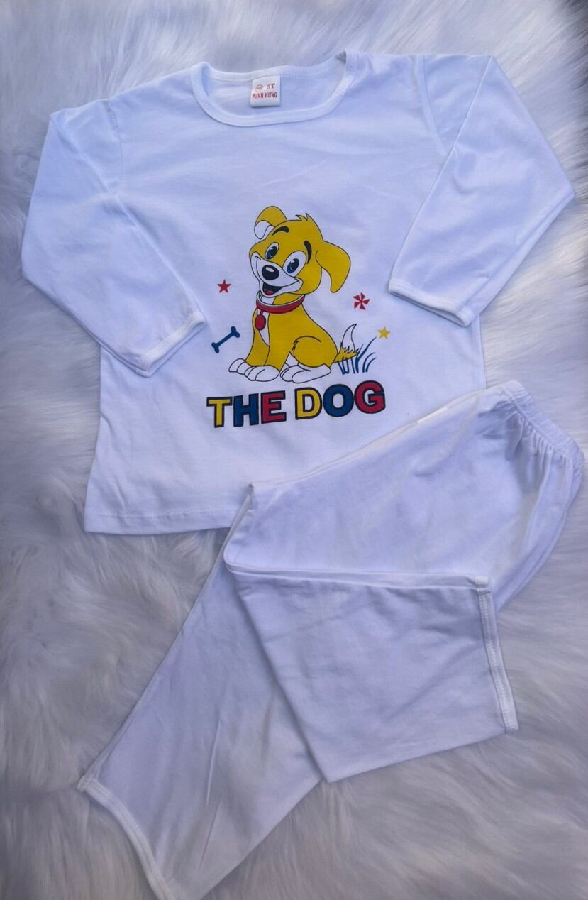 (16-20) Combo 5 bộ thun tay dài 100%cotton