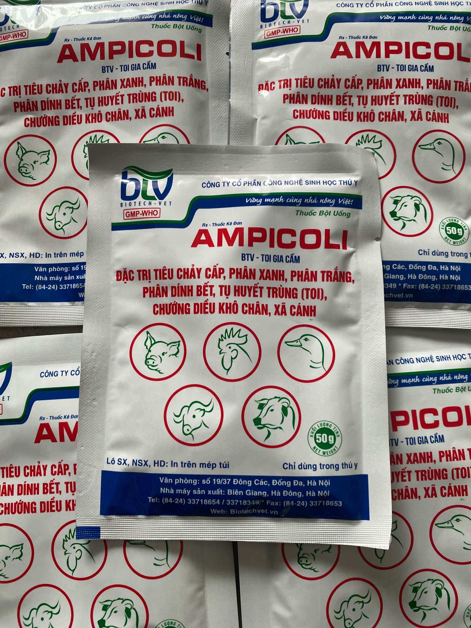 1 gói AMPICOLI (50g) btv gói bột phòng và xử lý tiêu chảy cấp, p.xanh, p.trắng, tụ huyết trùng (toi), chướng diều khô chân, xã cánh cho gia súc gia cầm