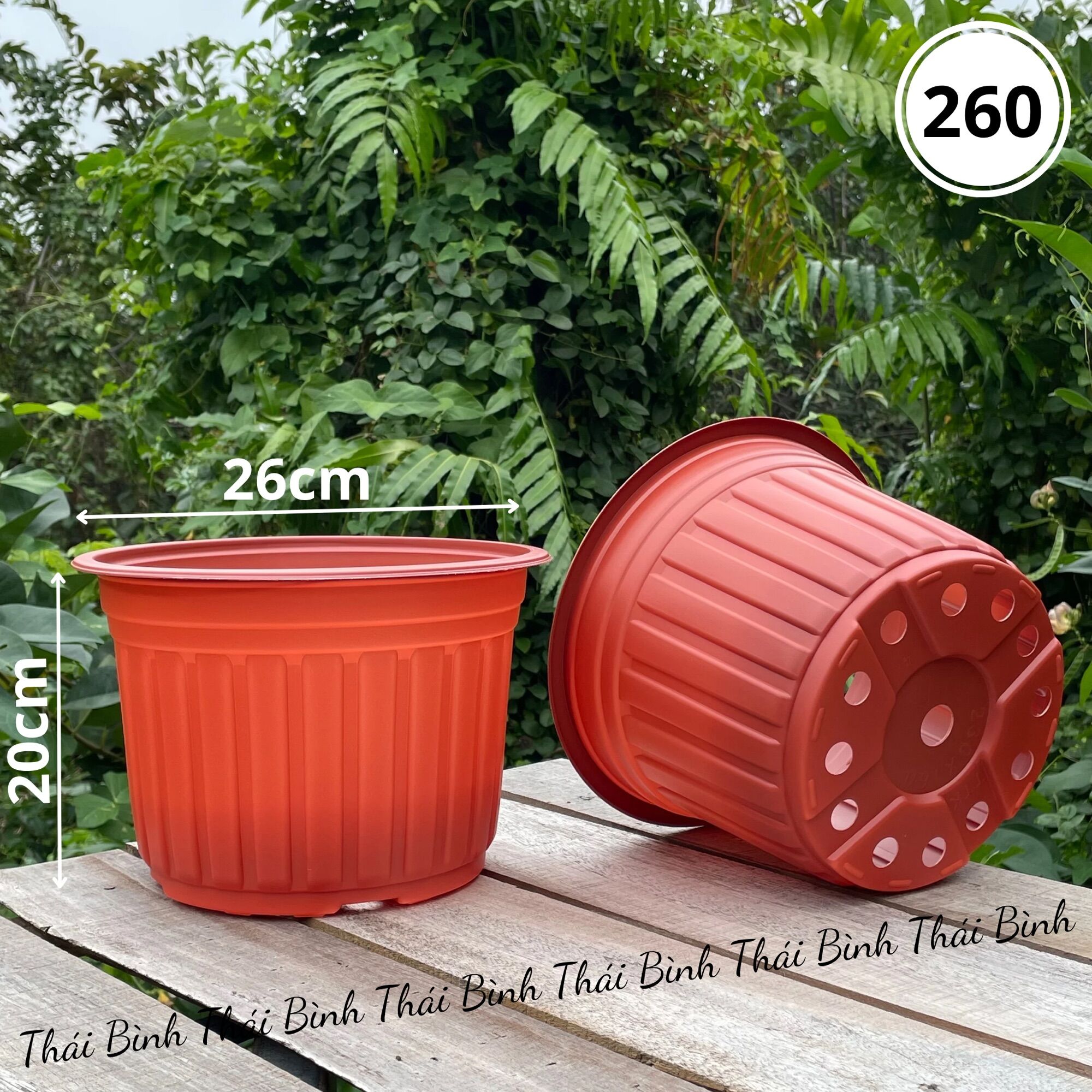 Chậu nhựa ttk vành cứng 260 - chậu nhựa nâu vành cứng - chậu nhựa thái bình
