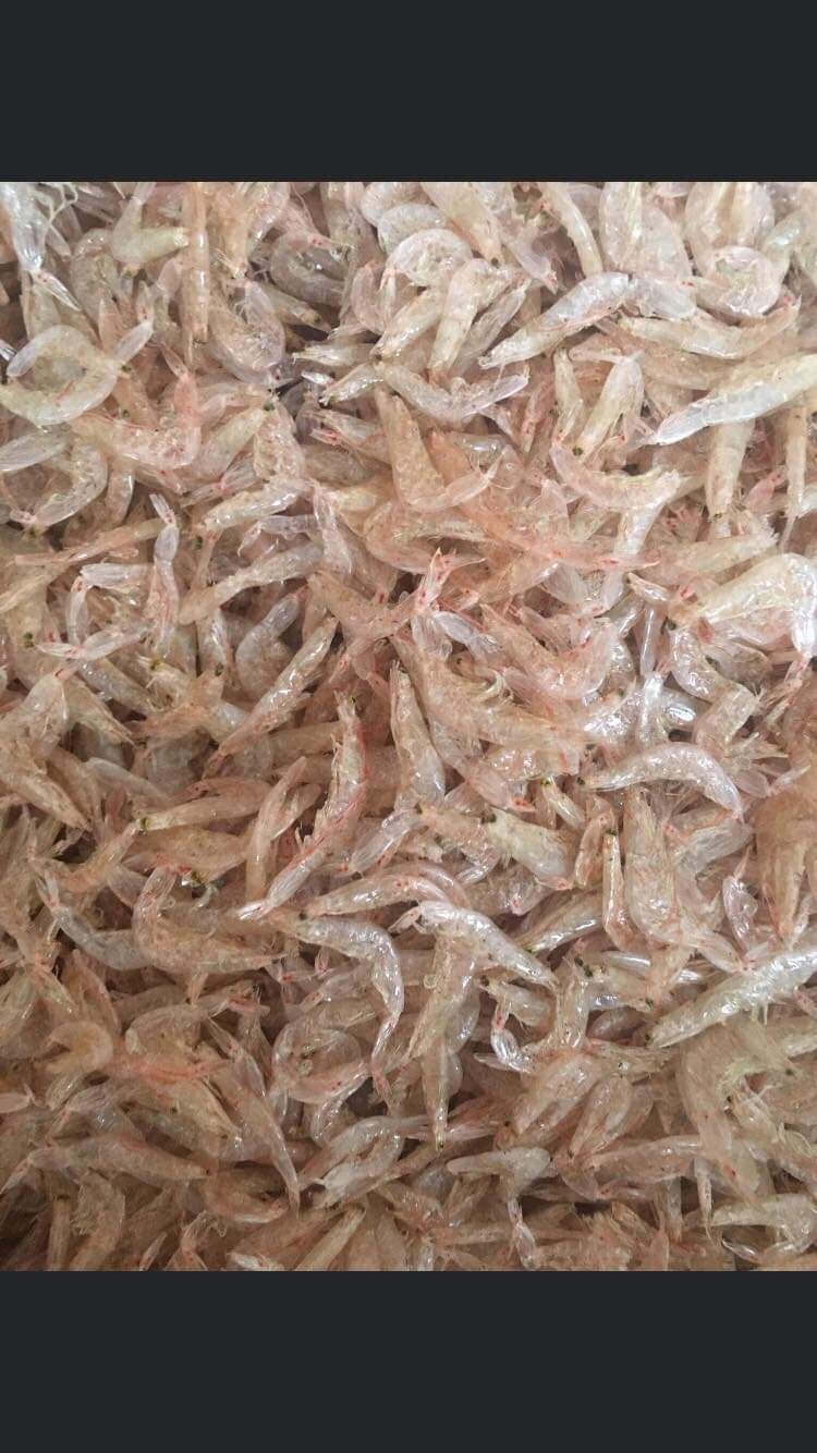 1kg tép biển khô sạch