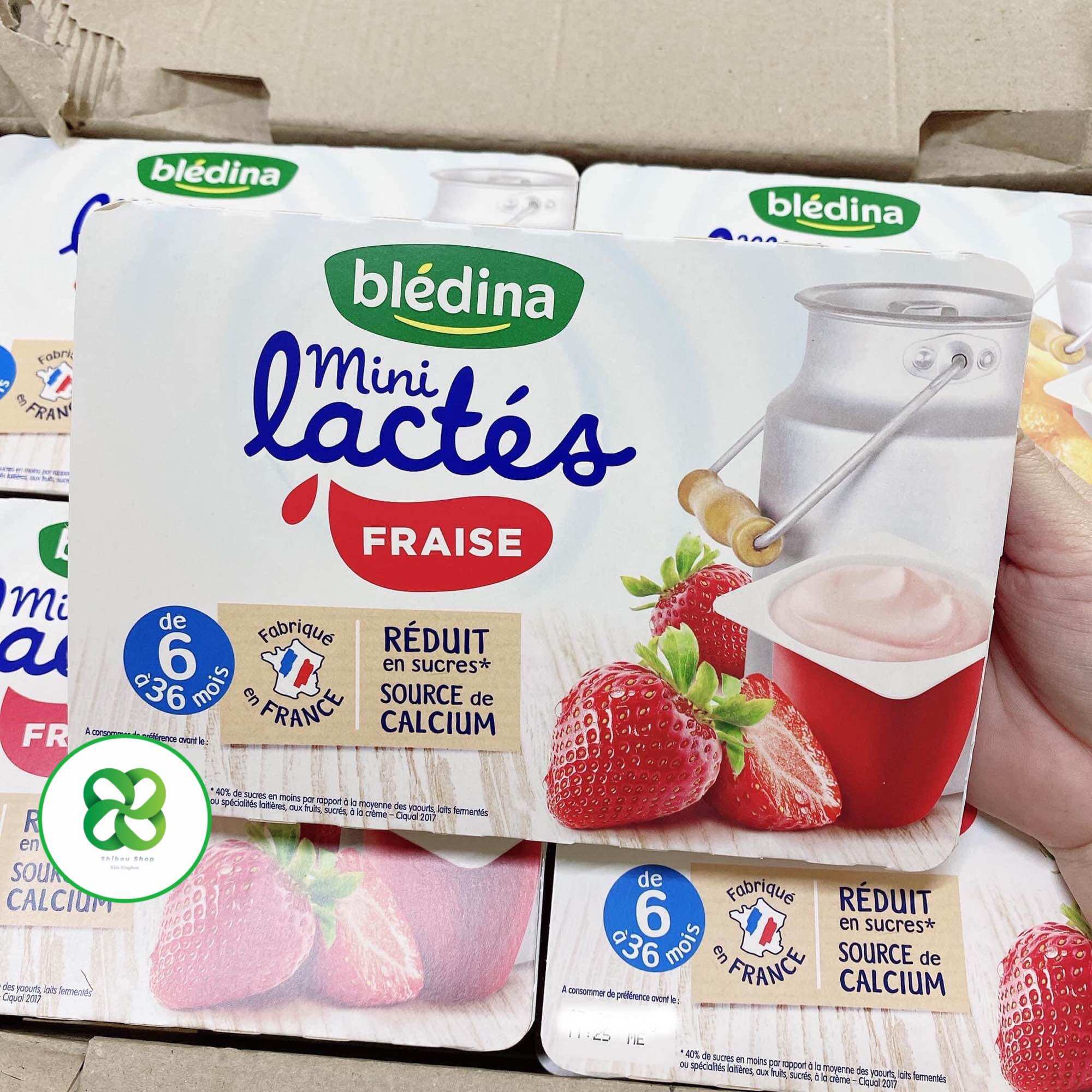 SỮA CHUA BLEDINA MINI LACTES NHIỀU VỊ