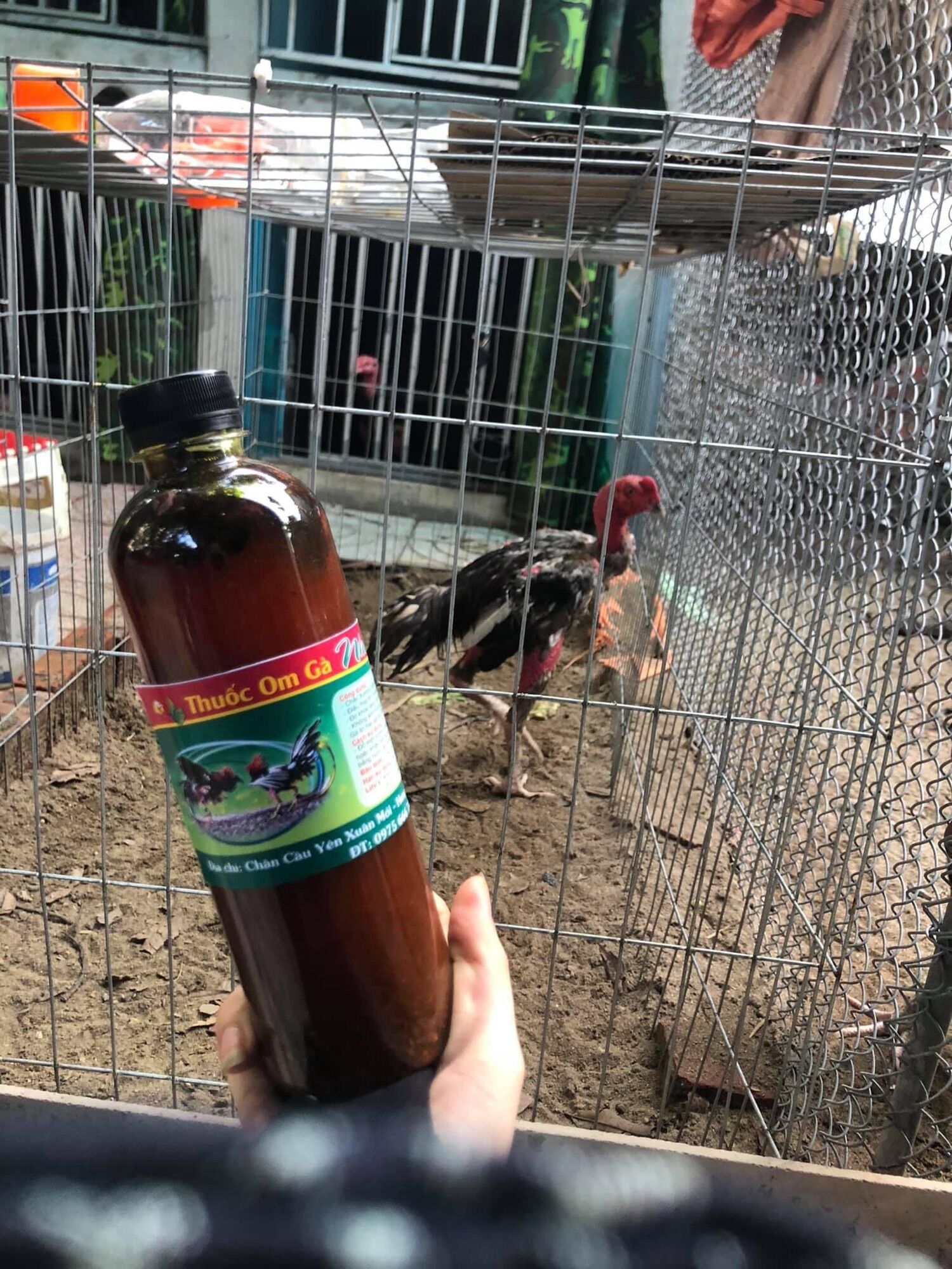 Breast tie chicken bottle