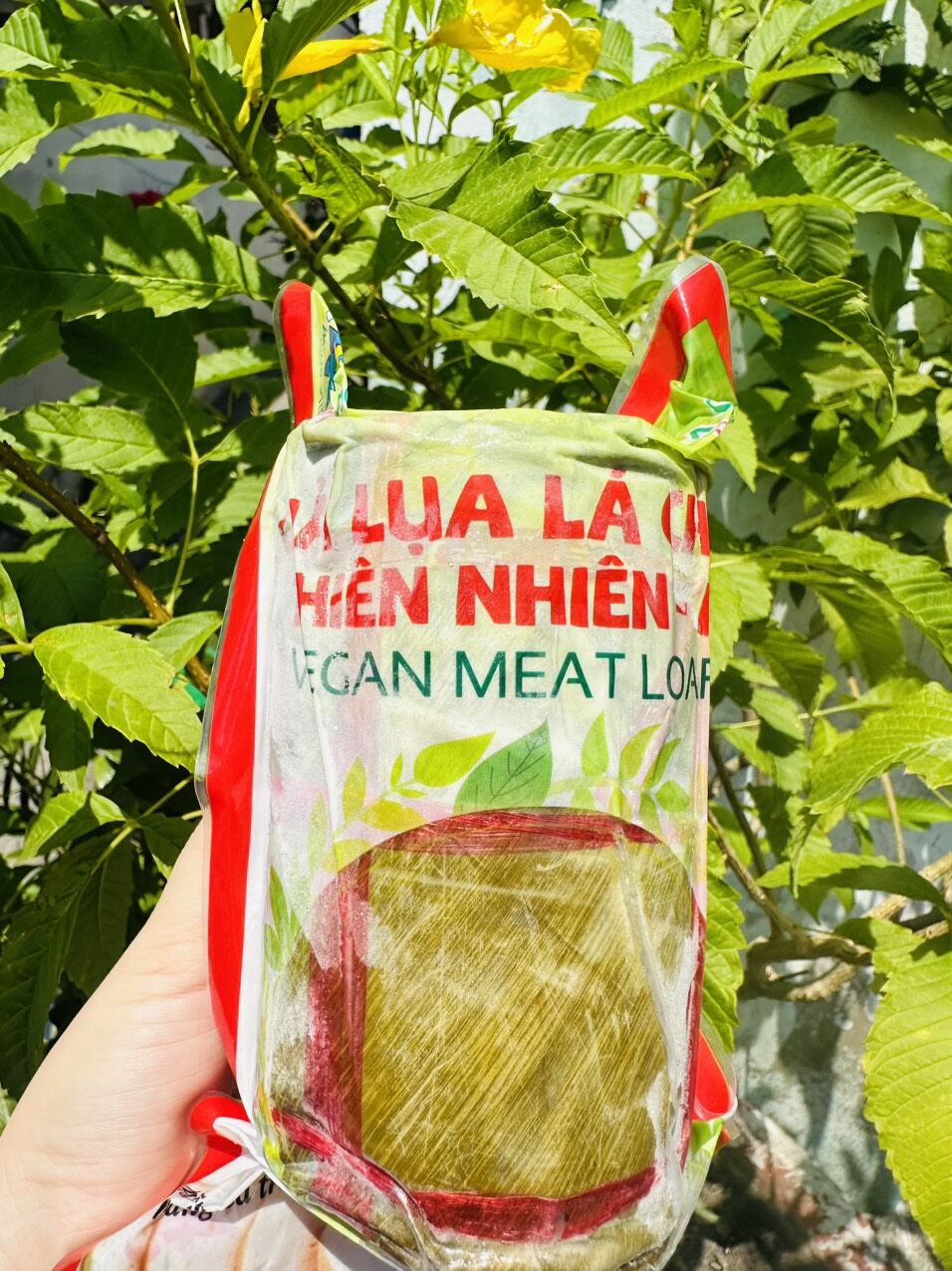 [CHỈ SHIP HOẢ TỐC TP HCM] CHẢ LỤA LÁ CHUỐI THANH DŨNG 500G
