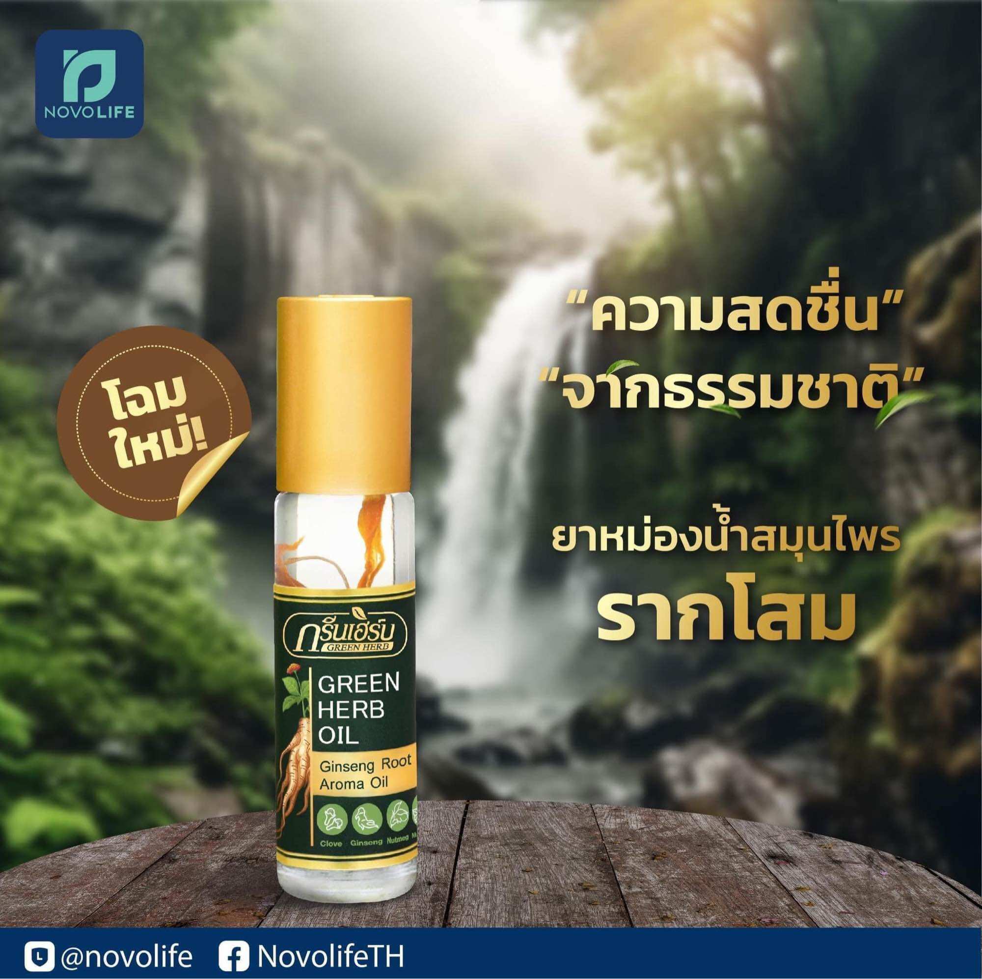 Lốc 12 chai dầu lăn nhân sâm mẫu mới thái lan