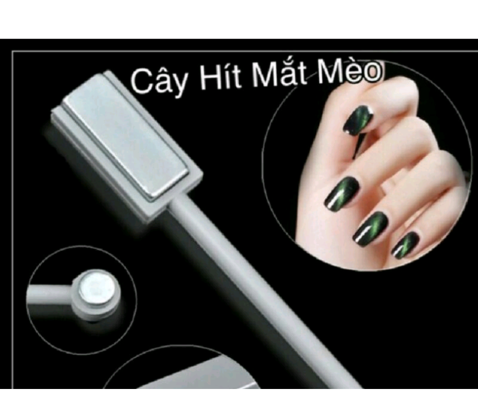Nam châm mắt mèo, cây hít mắt mèo