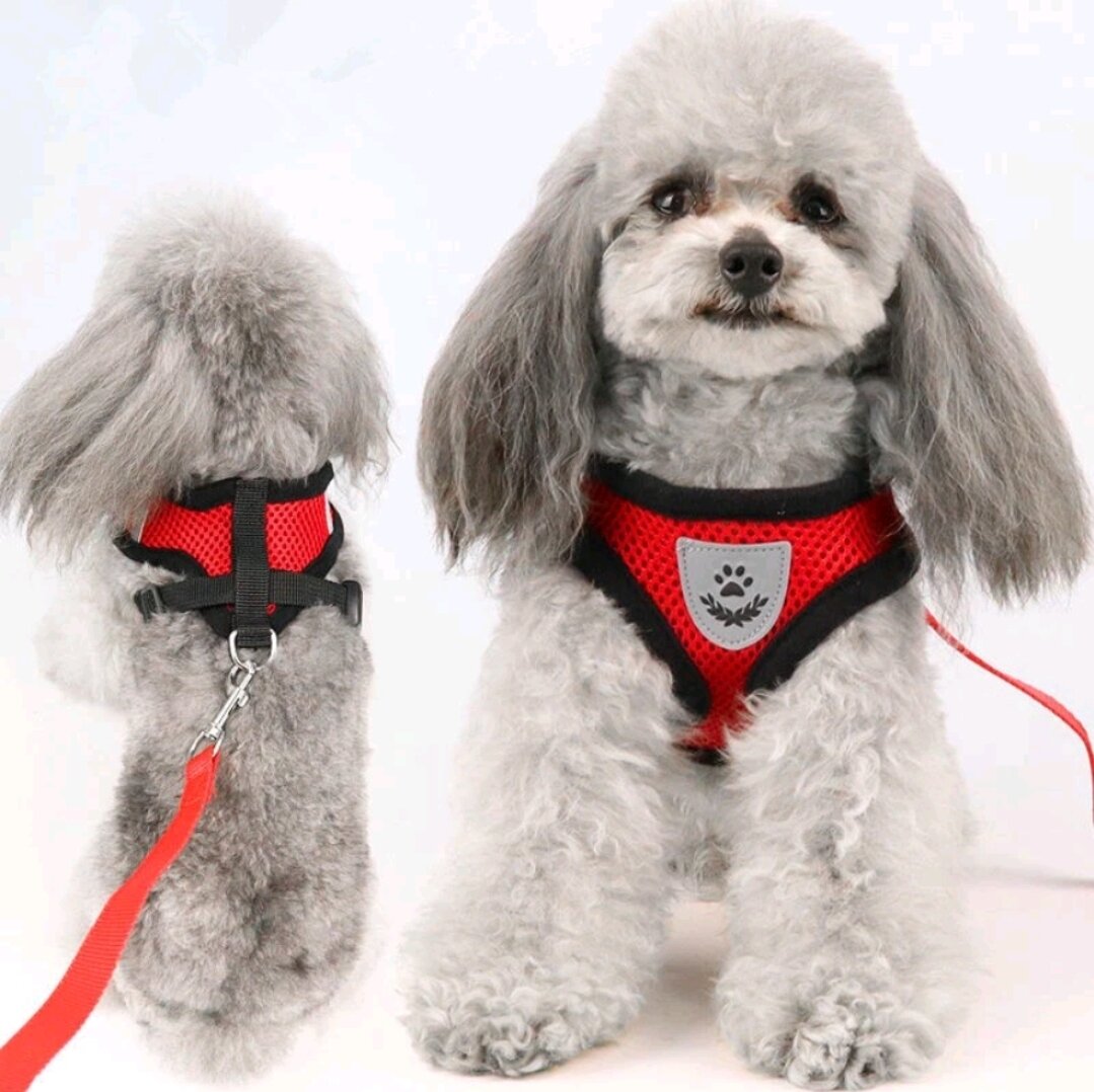 Dây dắt + áo yếm lưới cho chó mèo đủ size