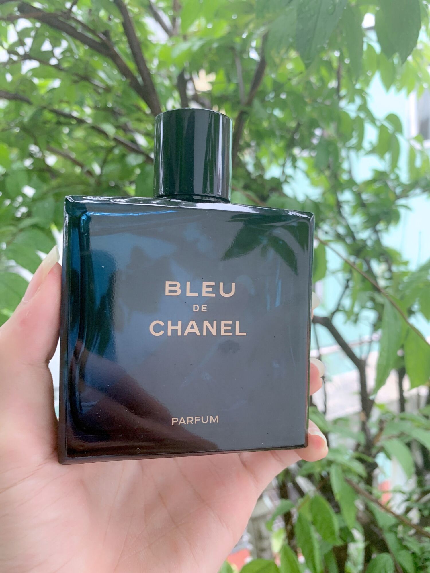 Cách Phân Biệt Nước Hoa Bleu De Chanel Chính Hãng  by Nhật Duy  Medium