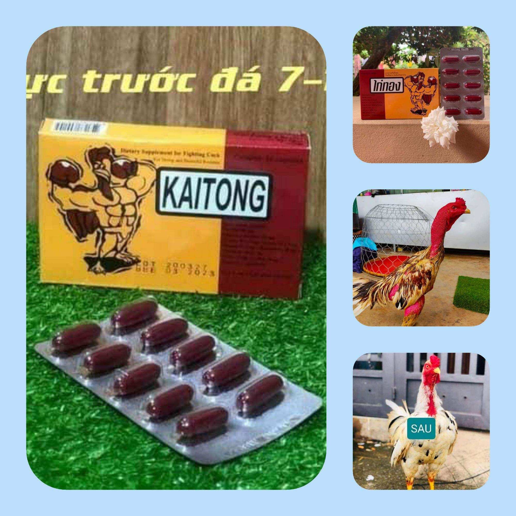 Kaitong [ hộp 20vien ] -th.uốc nuôi kích lực cho gà thi đấu