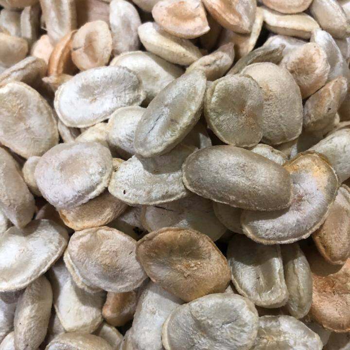 HẠT SÀNH [HẠT SANG] TRI DẠ DÀY, ĐẠI TRÀNG