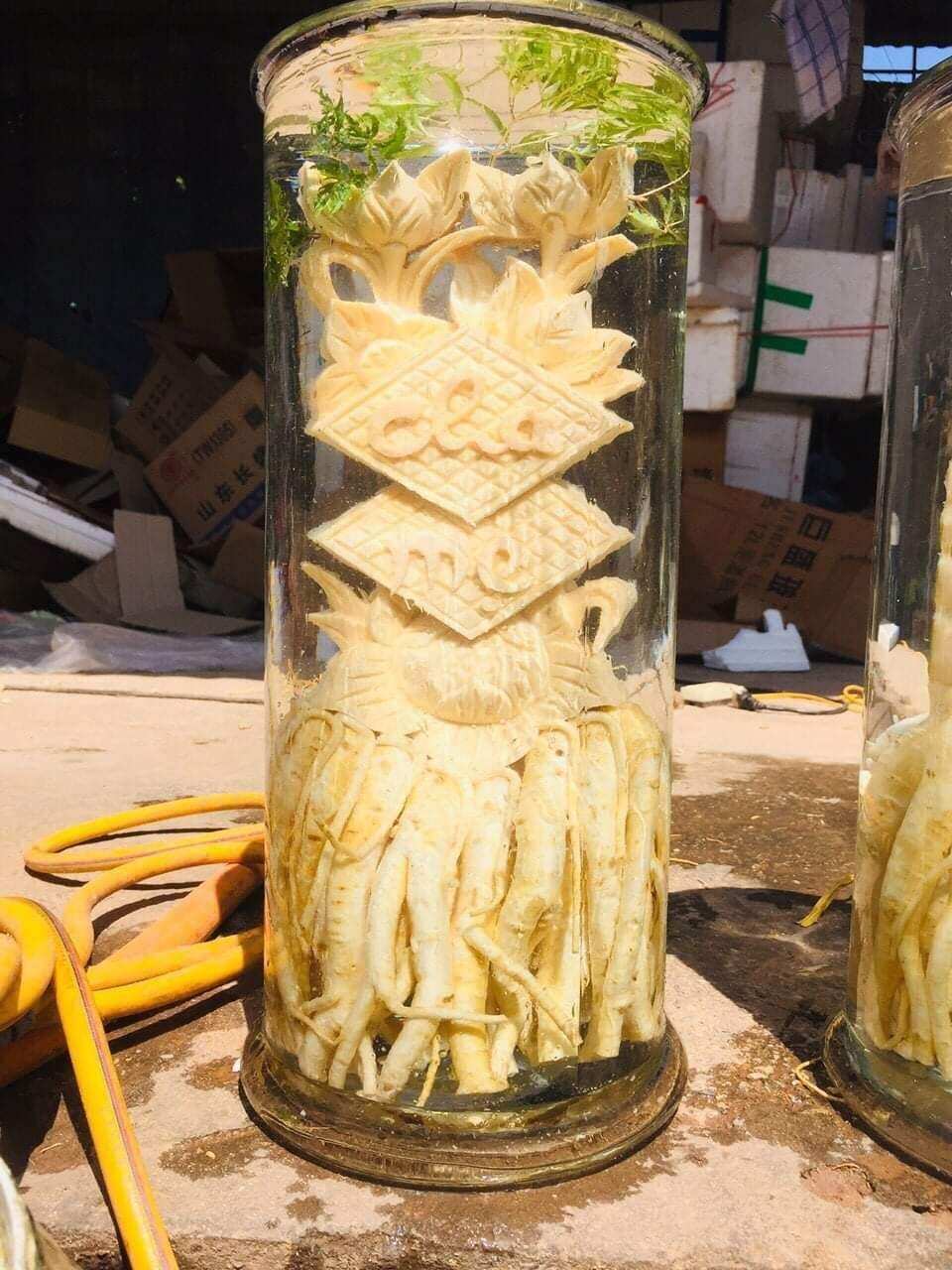 Bình đinh lăng điêu khắc 12 l, được điêu khắc tinh sảo từ rễ và thân đinh lăng nếp lá nhỏ. sản phẩm rất tốt cho sức khoẻ và dùng để trang trí , làm quà biếu ,tặng rất đẹp