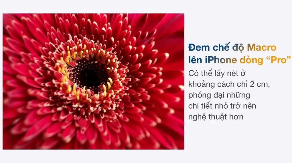 Điện Thoại ip 13 pro max
