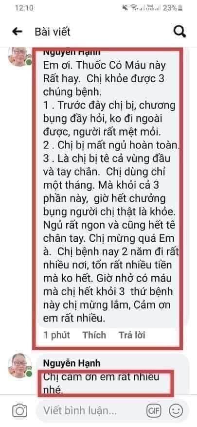 cỏ máu Tâm An