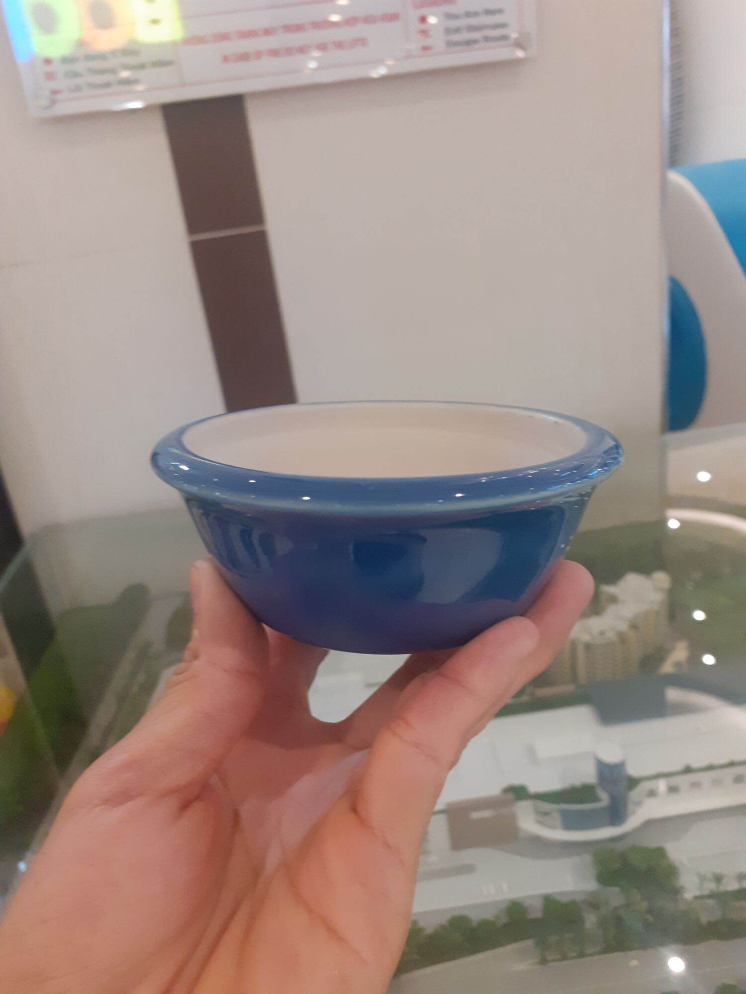 Chậu bon sai mini