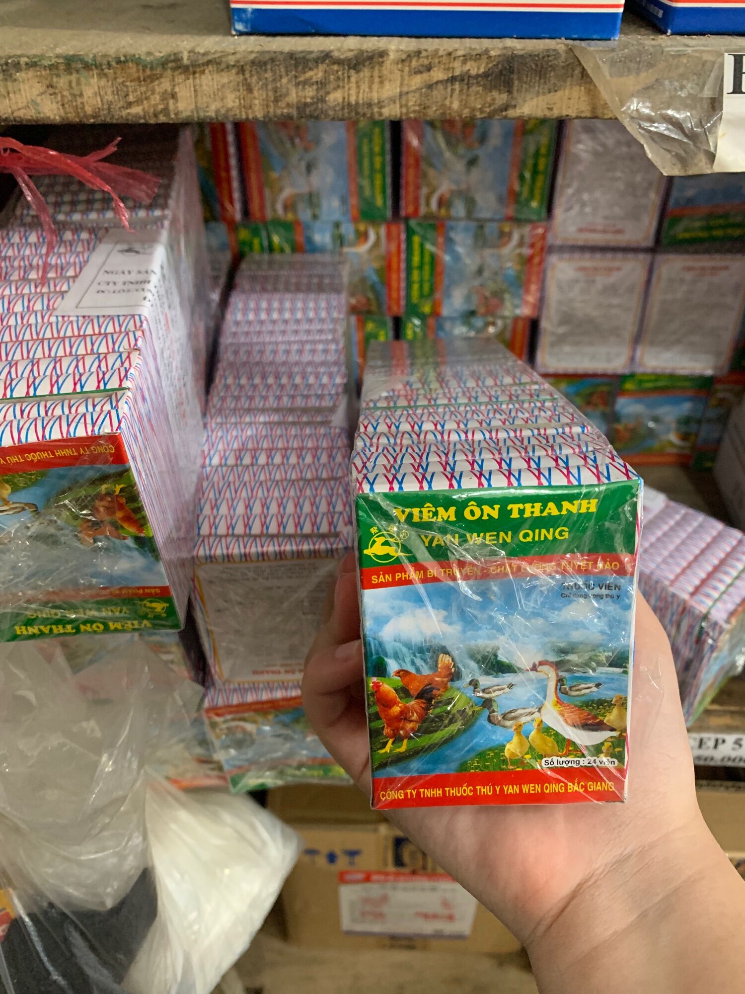 Viêm ổn thanh vỉ 24 viên 10 vỉ