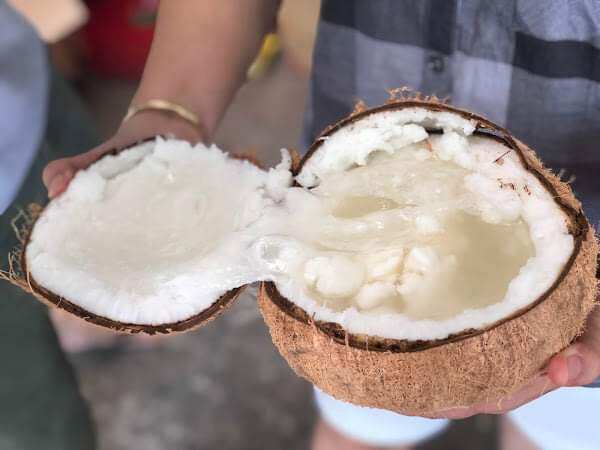 Dừa sáp trái 1kg trở lên bao ngon