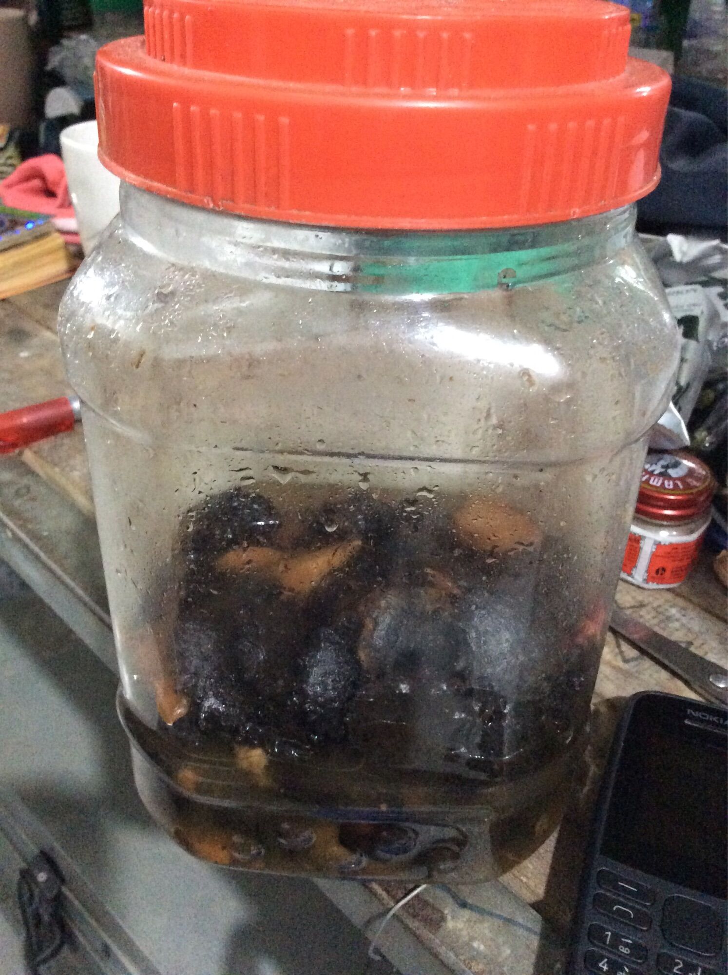 Rượu Hạt gấc ngâm gừng 500 ml