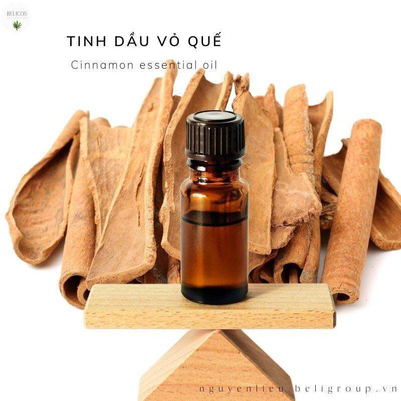 Tinh dầu Vỏ Quế Ấn Độ nguyên chất