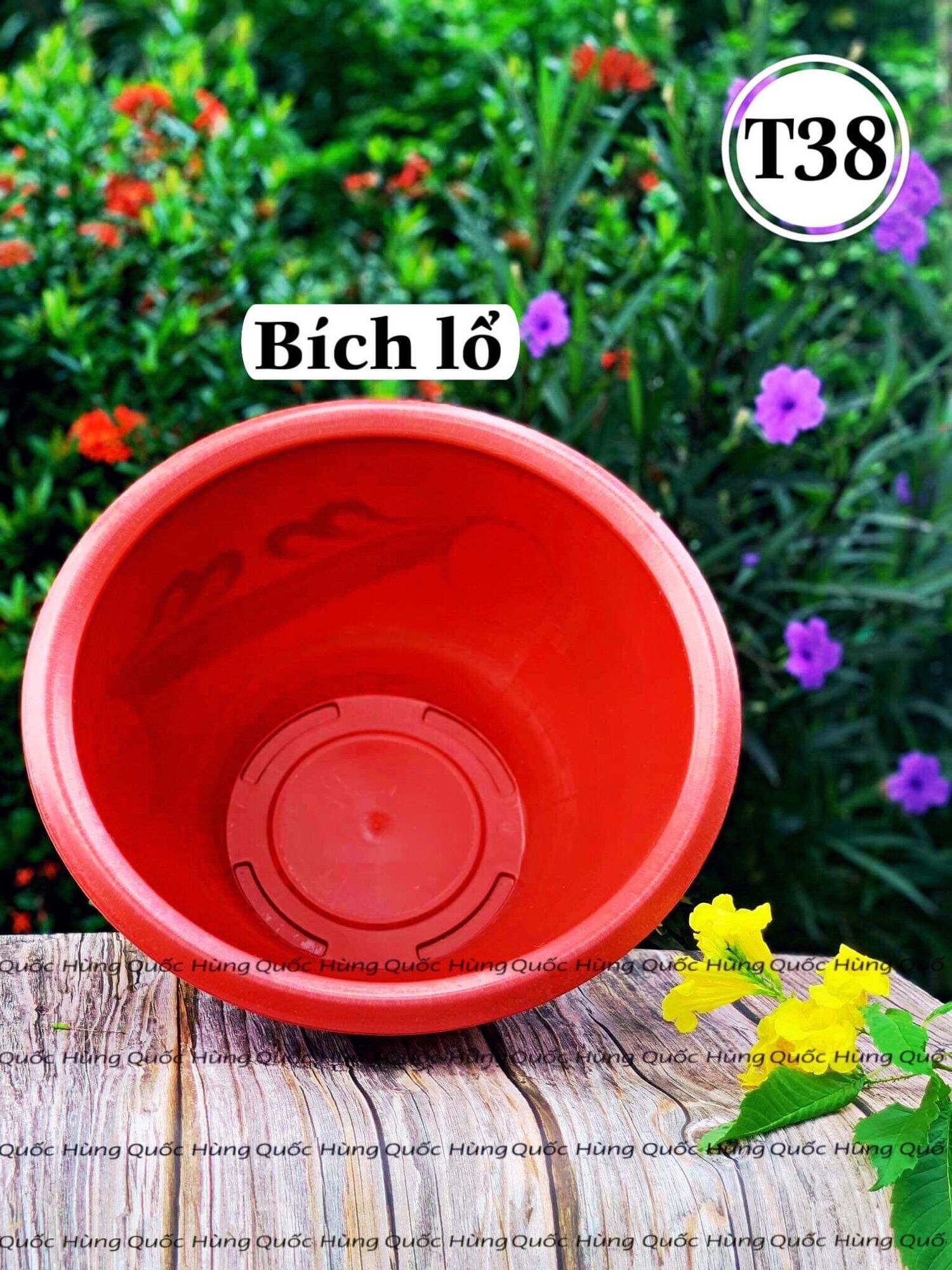 Chậu nhựa Bích Lổ - trồng sen nuôi cá T38
