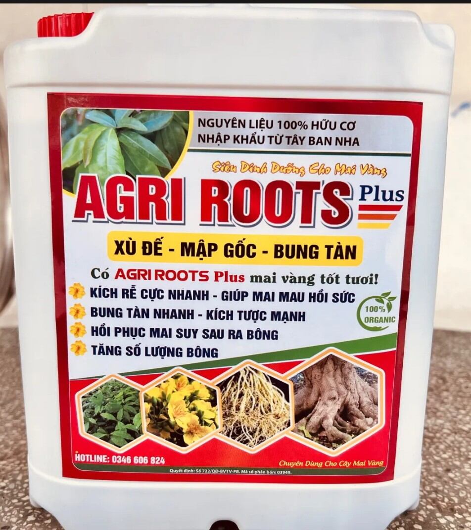 Phân bón AGRI Roots plus chuyên mai vàng bung tàn nở gốc mập thân
