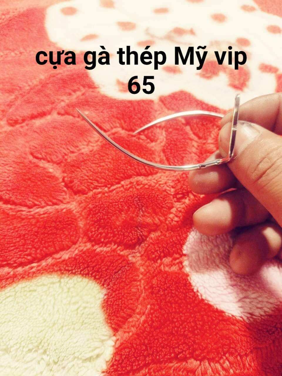 cựa gà thép Mỹ vip