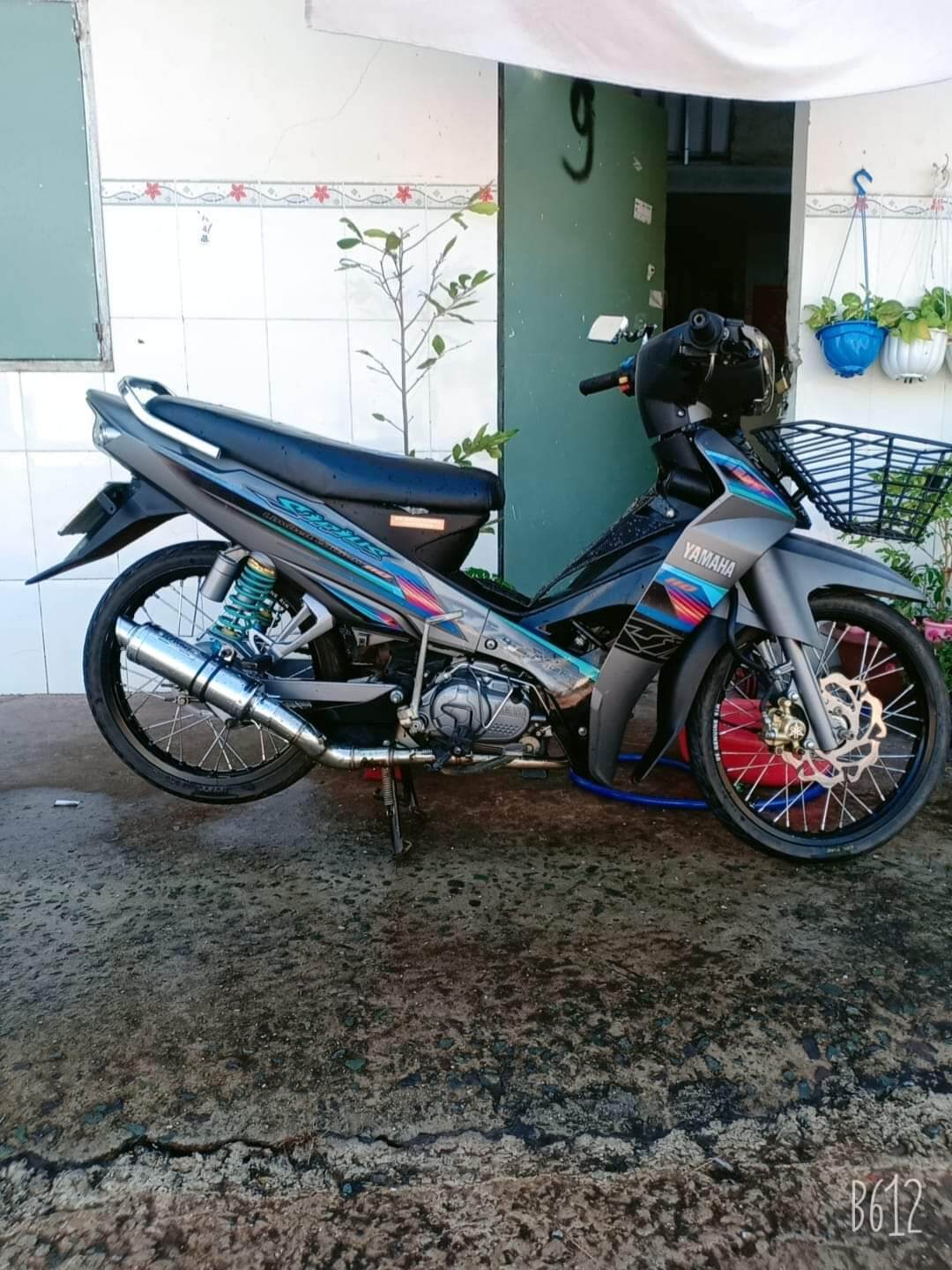 Tem rời sirius xám