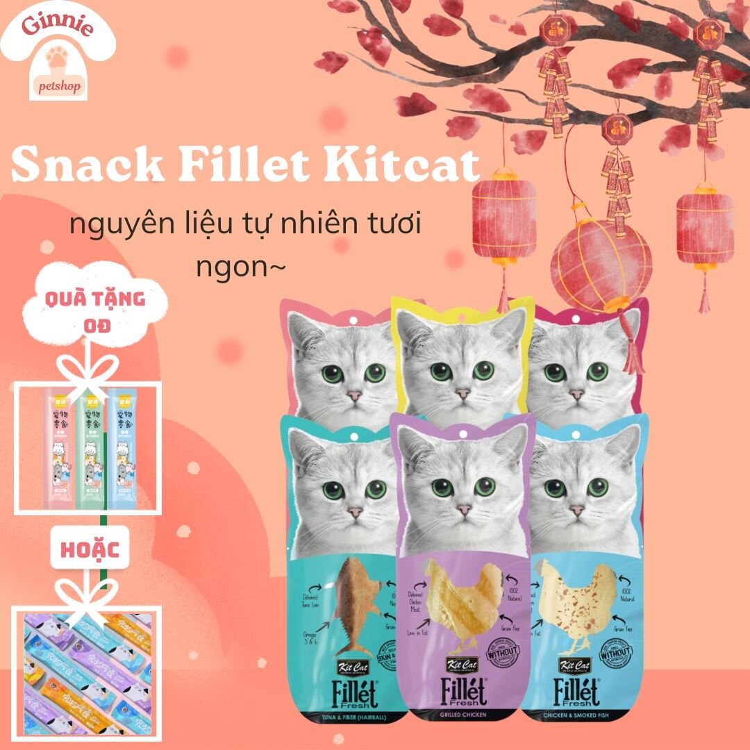 Snack Fillet KitCat cho mèo Gói 30gr