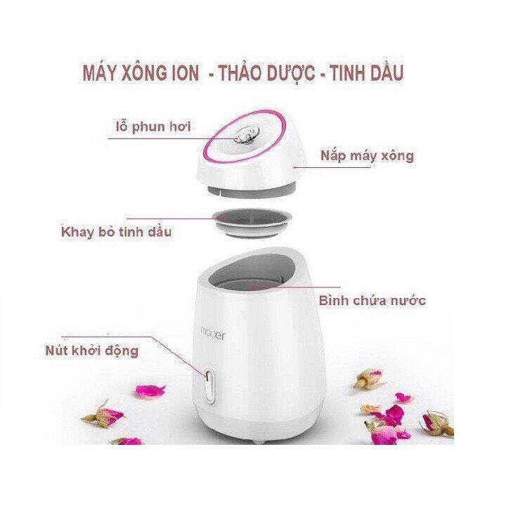Máy xông tinh dầu, thảo dược Mooer
