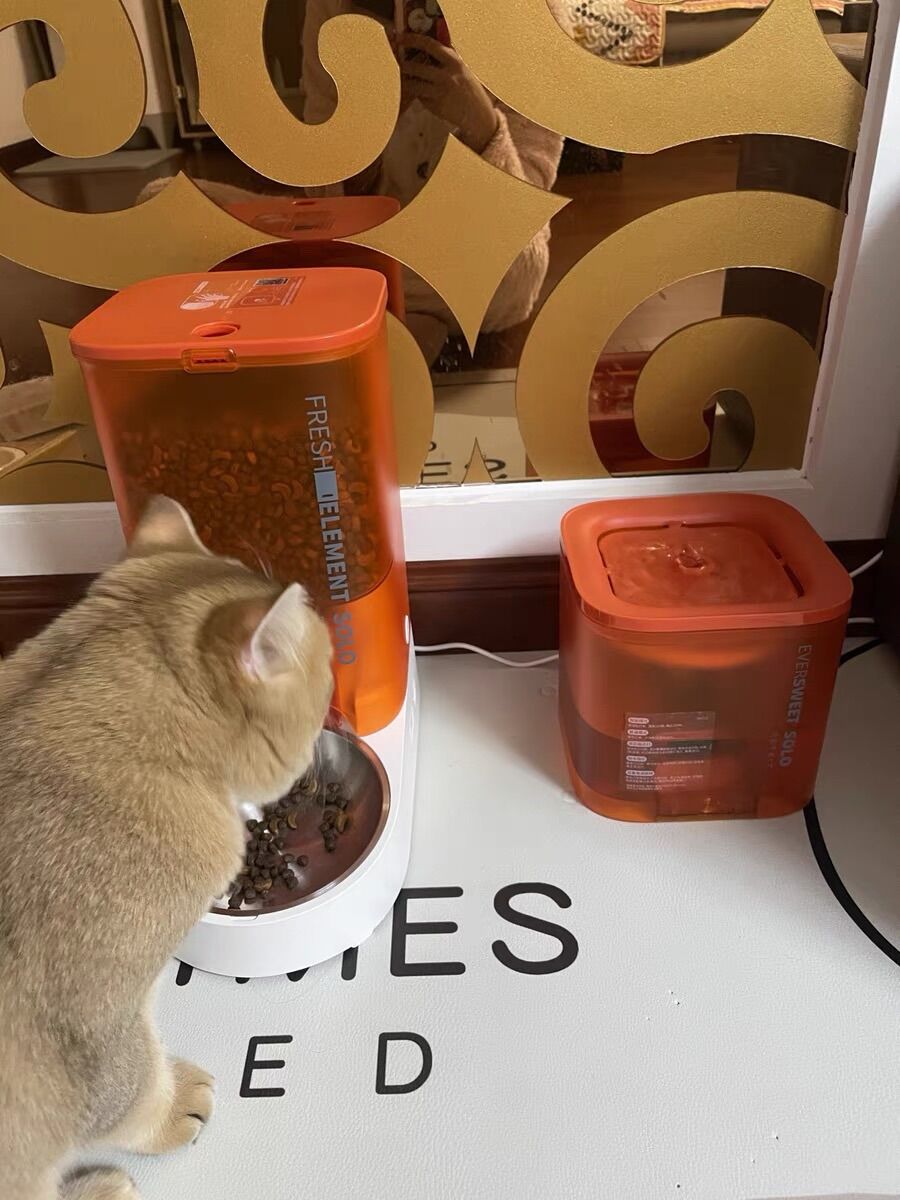 Máy lọc nước tự động Petkit Eversweet Solo [CHÍNH HÃNG] [CÓ SẴN]