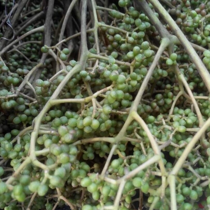 100g hạt mắc khén rừng Tây Bắc loại 1