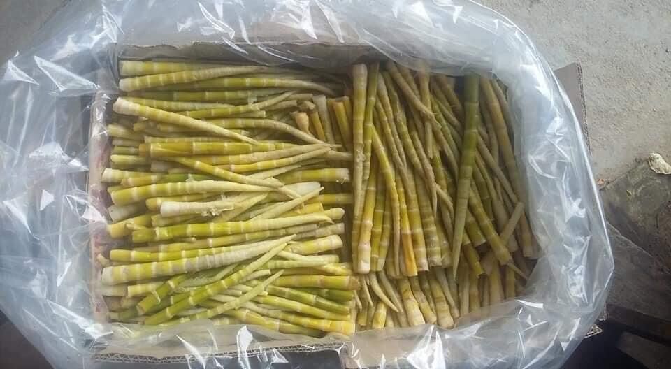 Măng trúc muối 100k/lọ 1,5kg