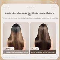 OULIQI | Dye Dưỡng Tóc Không Kích Ứng Từ Cây Cỏ Màu Trà Đen Chống Tóc Bạc