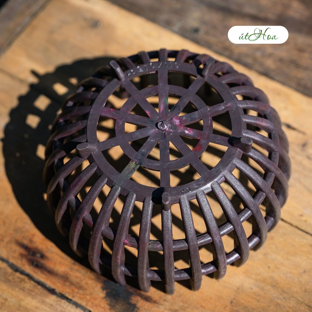 Combo 5 Chậu Trồng Lan Rổ Bí Phi 21Cm (Dày, Đẹp)