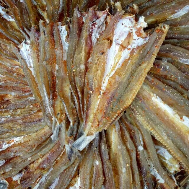 2kg CÁ MỐI KHÔ NGON