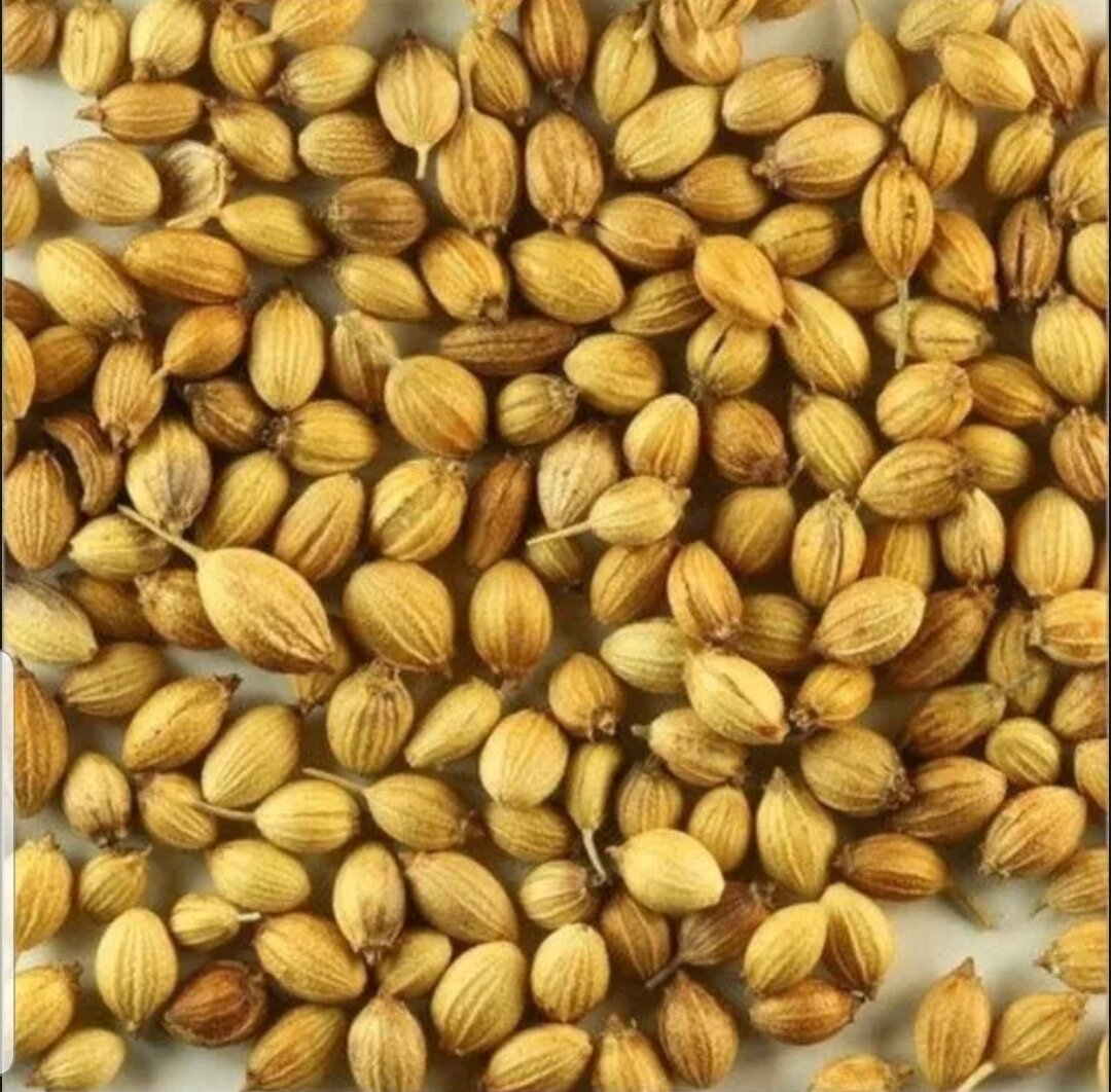 100g hạt mùi (ngò) khô loại ta giống cũ thơm