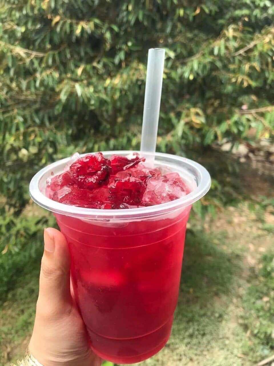 hũ 800gr Mứt atiso đỏ Đà Lạt