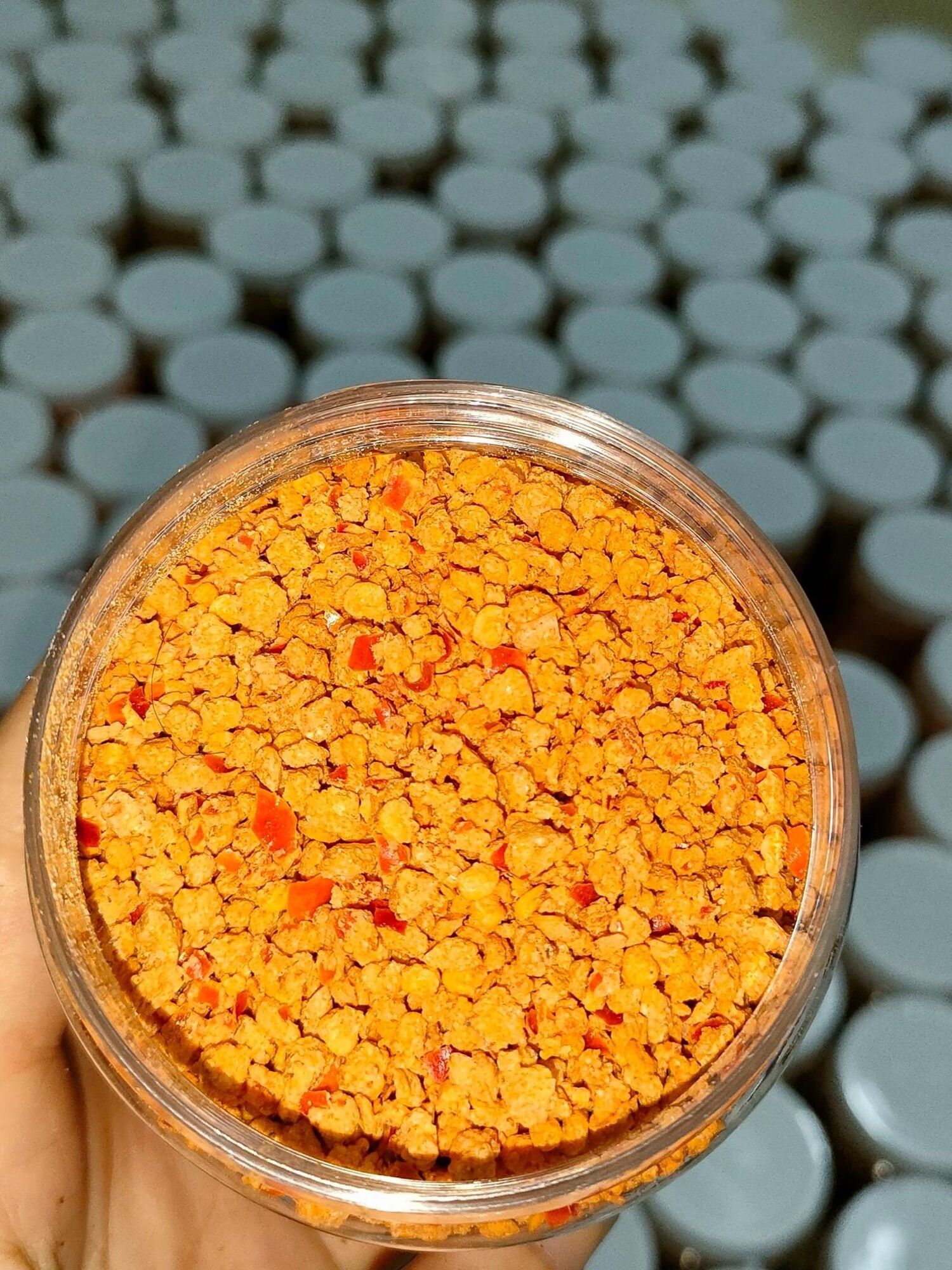 Muối tôm nhà làm