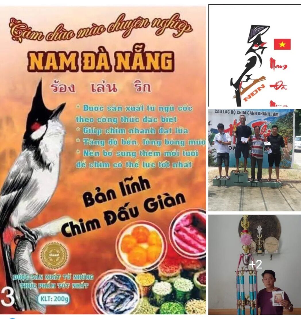 Cám chào mào nam Đà Nẵng