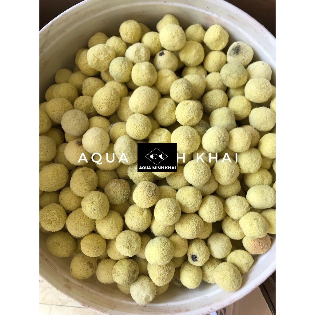 Sứ bi vàng 100g, 500g