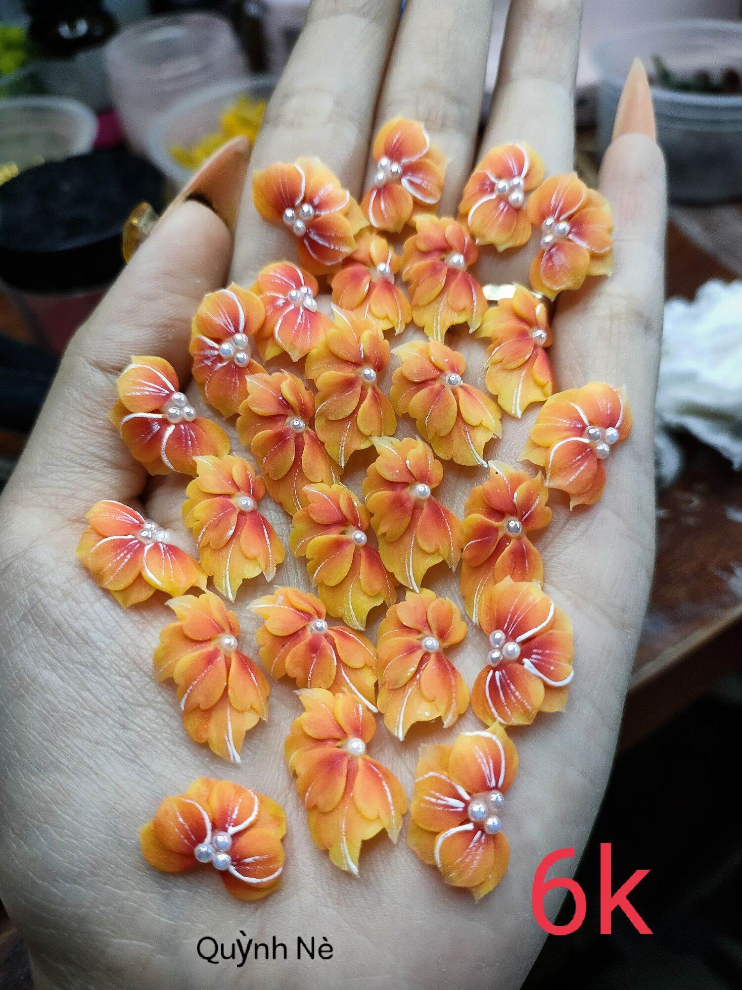 Hoa bột nail set 20hoa