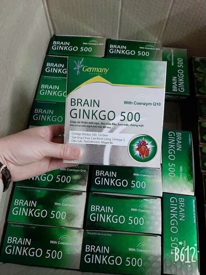 Bổ não Ginko 500
