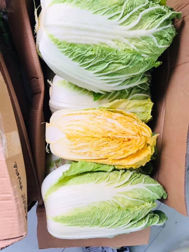 [Ăn Chay ] Kim chi cải thảo Hàn Quốc