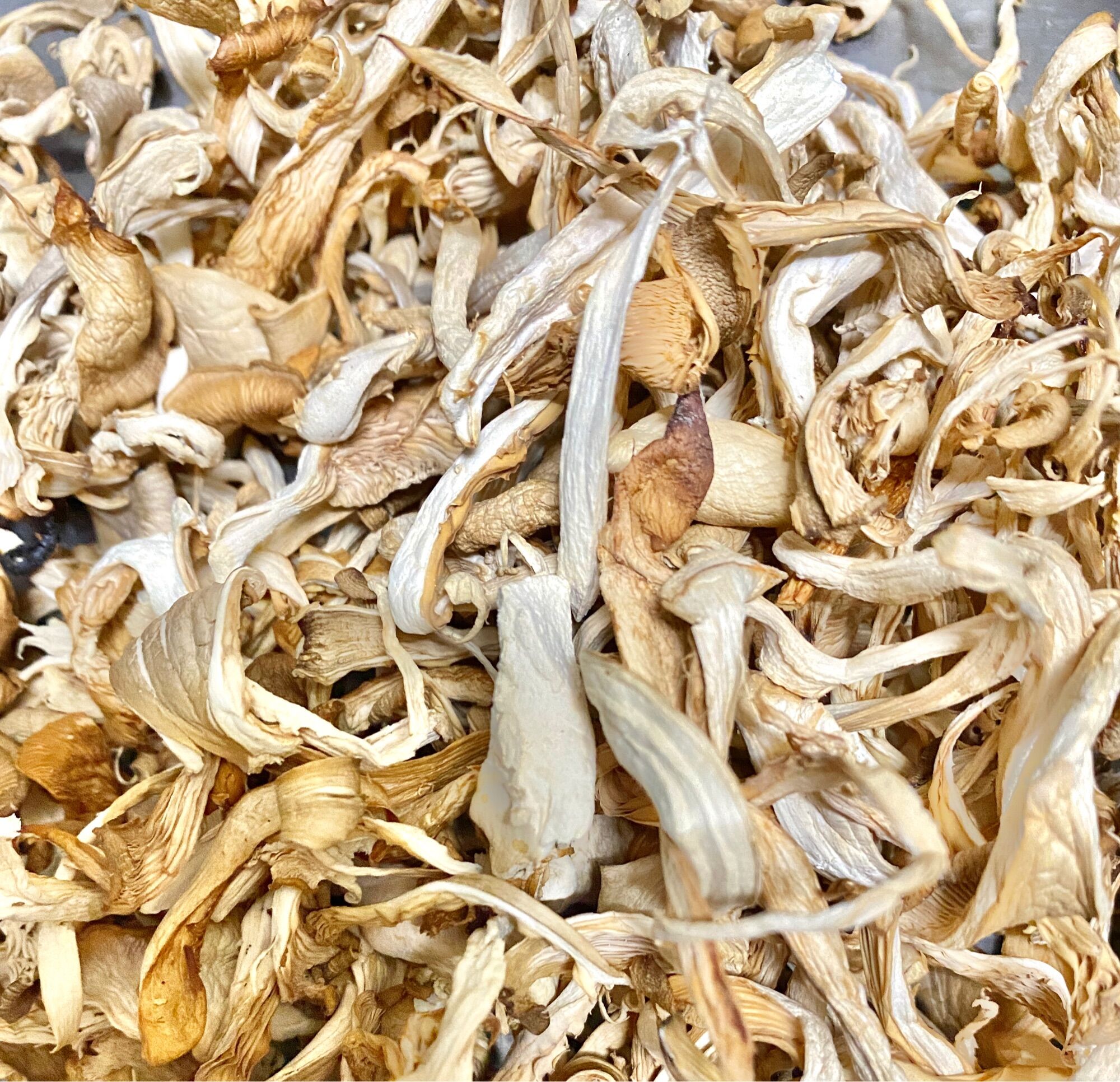 Nấm bào ngư khô 100g