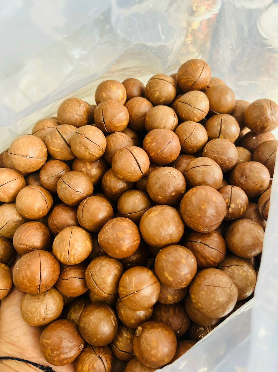 Hạt MACCA Mắc ca Lai Châu sấy lạnh size lớn  500g, 250g