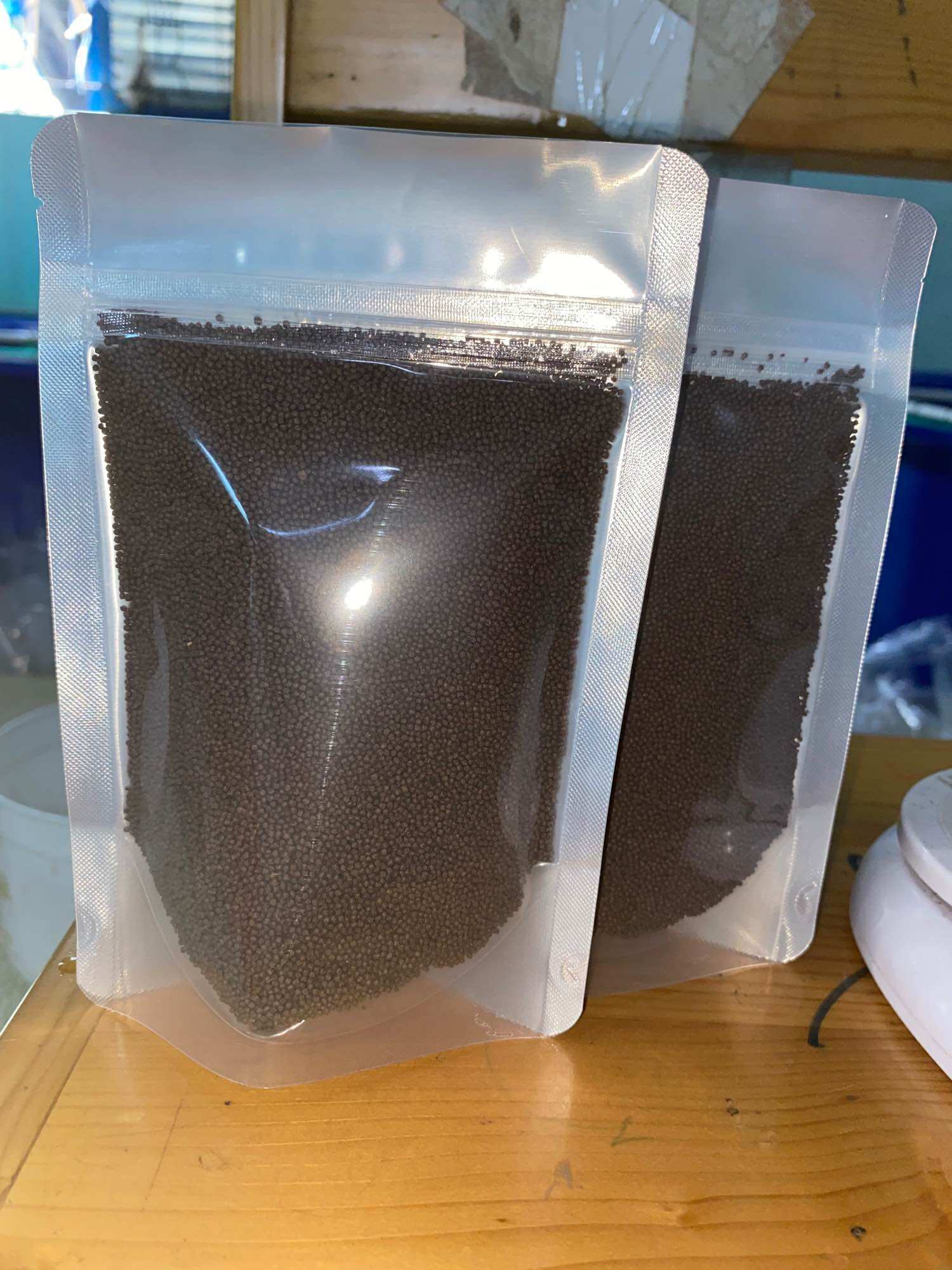 CÁM DÀNH CHO GUPPY & BETTA ( COMBO 3 TÚI 100gram )