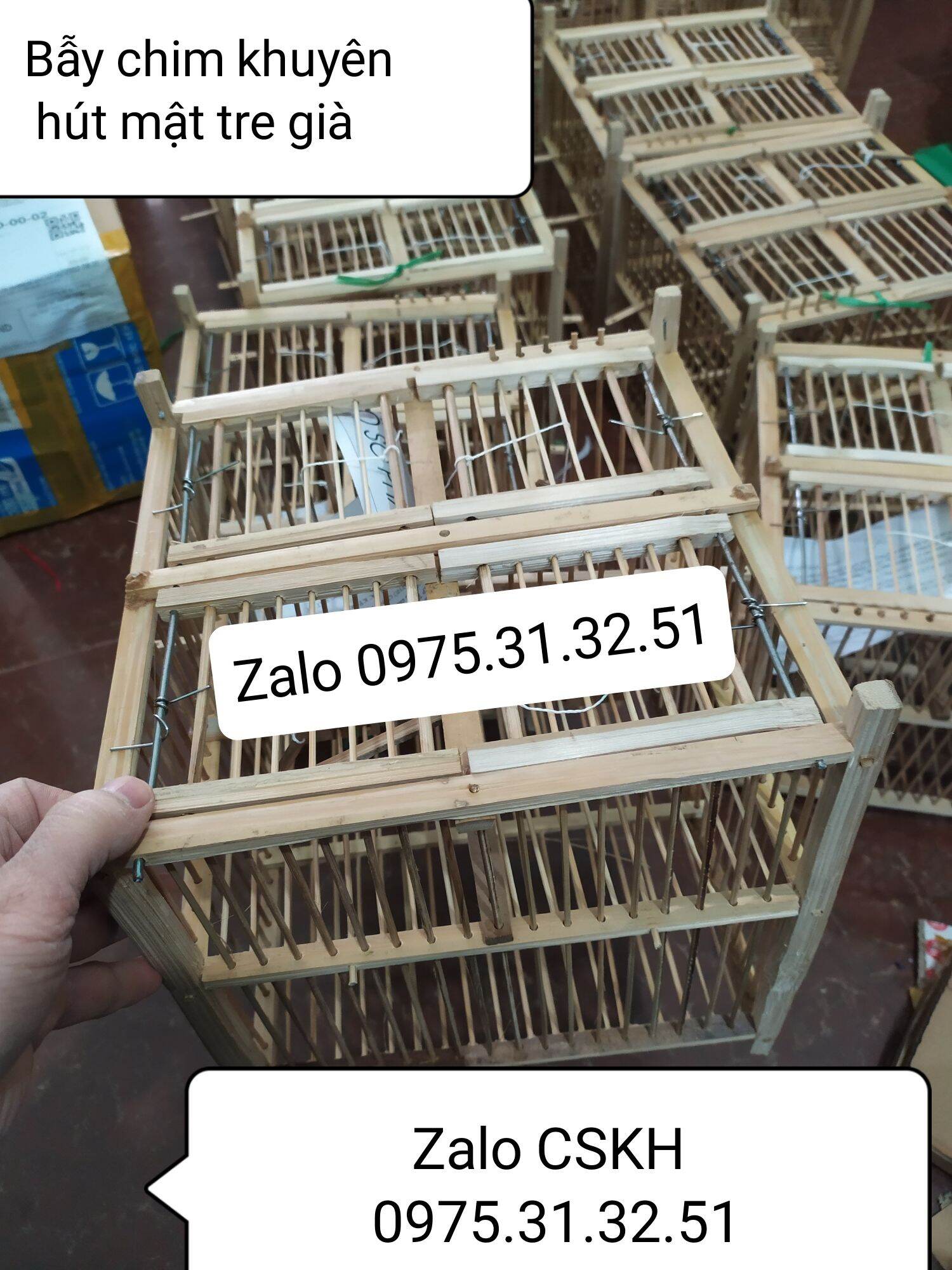 Bẫy 4 sập chim vành khuyên hút mật ốc mít