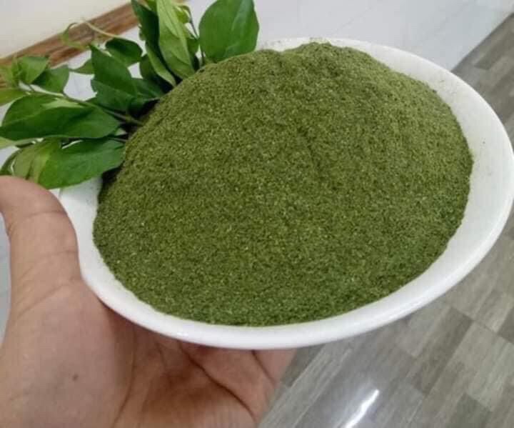 Bột thạch lá găng rừng ( sương sâm ) 500gr