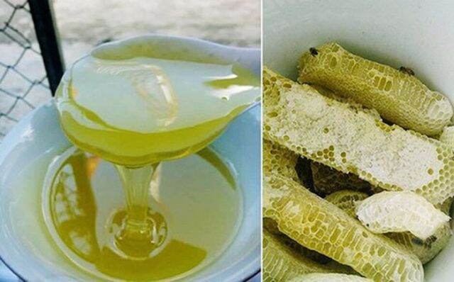 500ML Mật Ong Hoa Bạc Hà Nguyên Chất