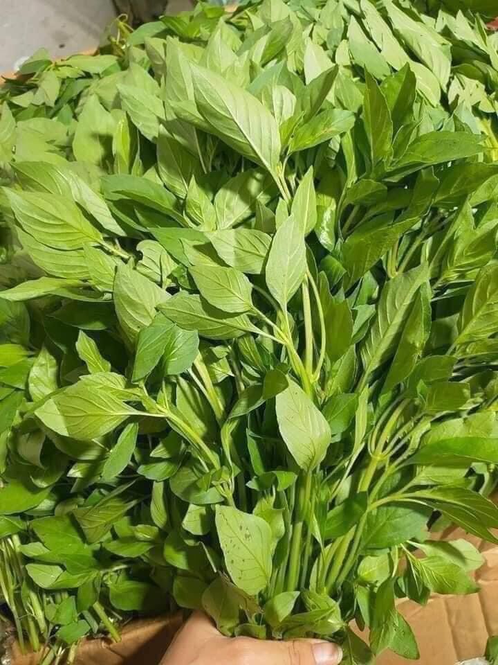Muối Lá É Ớt Hiểm 300gr